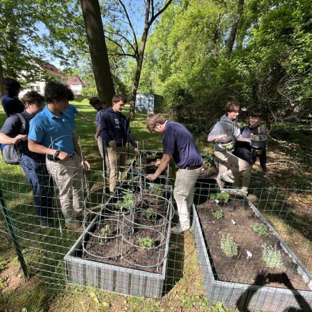Sustainability at Devon Prep - Devon Preparatory School